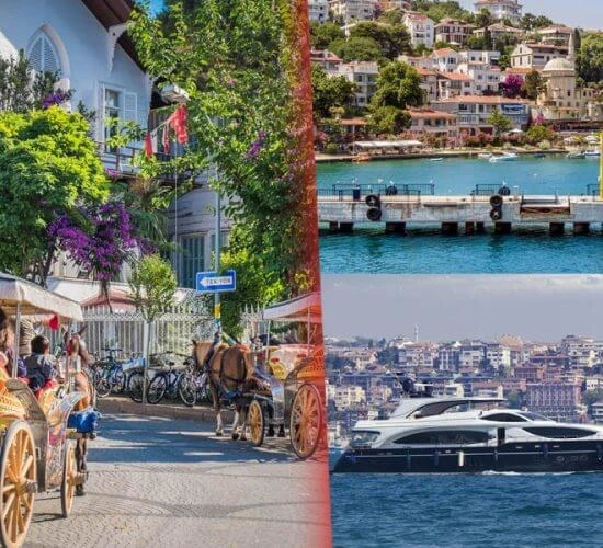 full day private istanbul bosphorus and princess island cruise tour